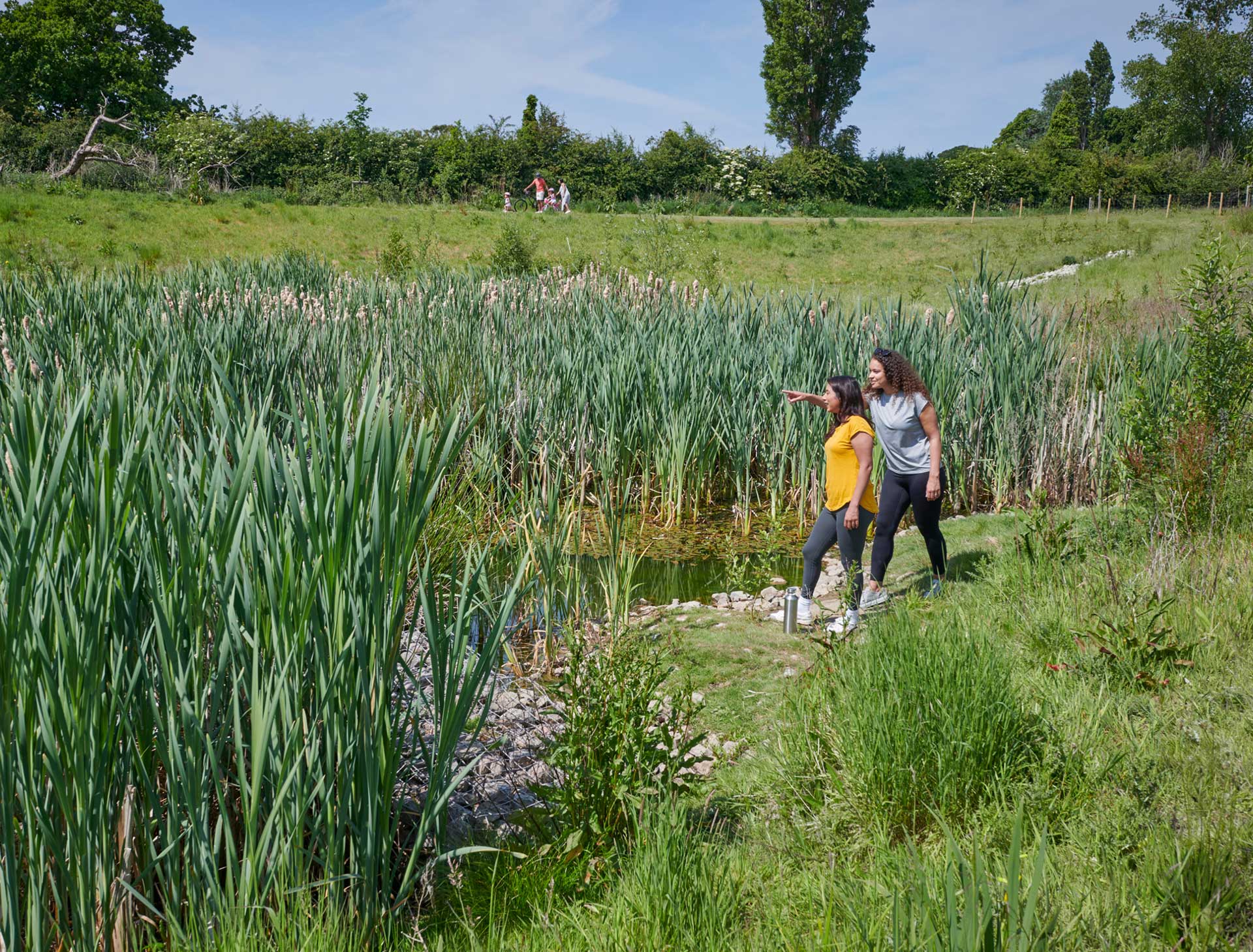 Sustainable drainage